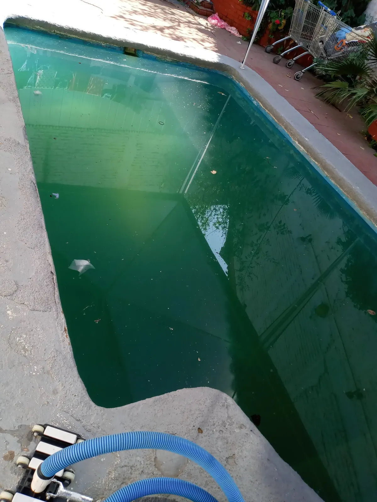 Agua verde